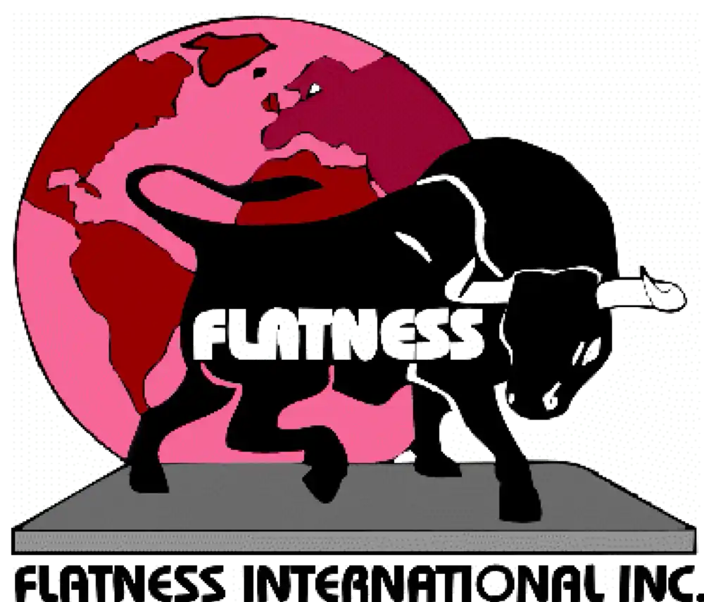 Logo Flatness International